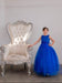 files/D-831-PIC6-CALLA-COLLECTION.jpg