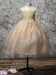 files/D-836_2_CHAMPAGNE.png