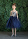files/D778-NAVY-GOLD.jpg