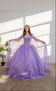 files/SCL30003-PIC5-CALLA-COLLECTION.jpg
